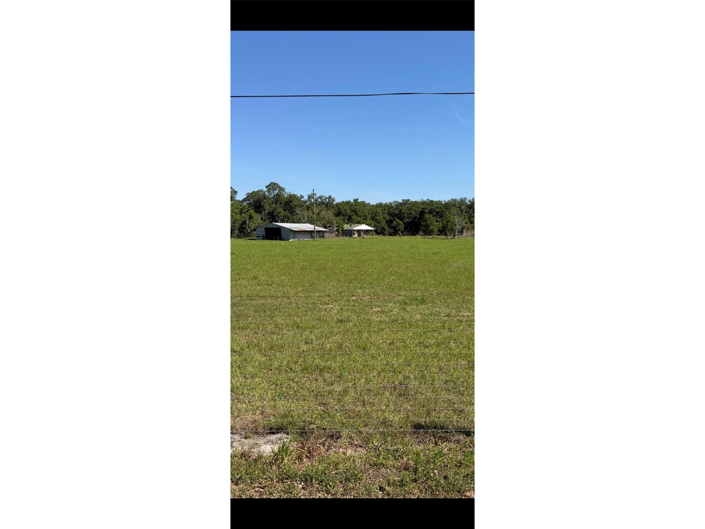 Sydney Road Dover FL 33527 TB8495843 image2
