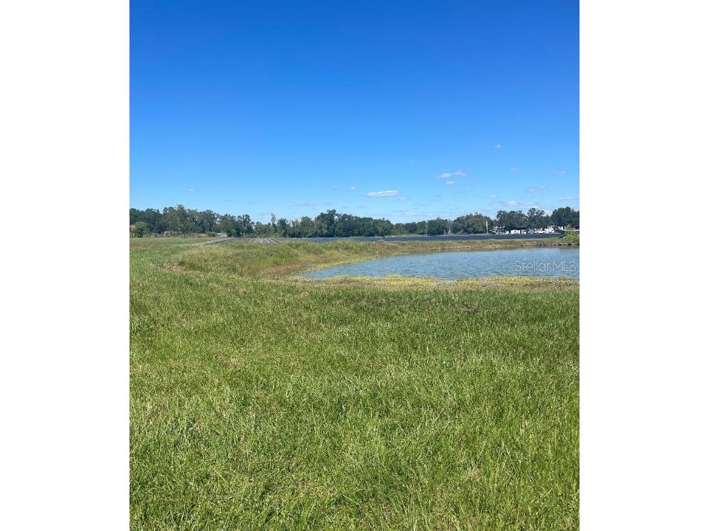 Sydney Road Dover FL 33527 W7879918 image1