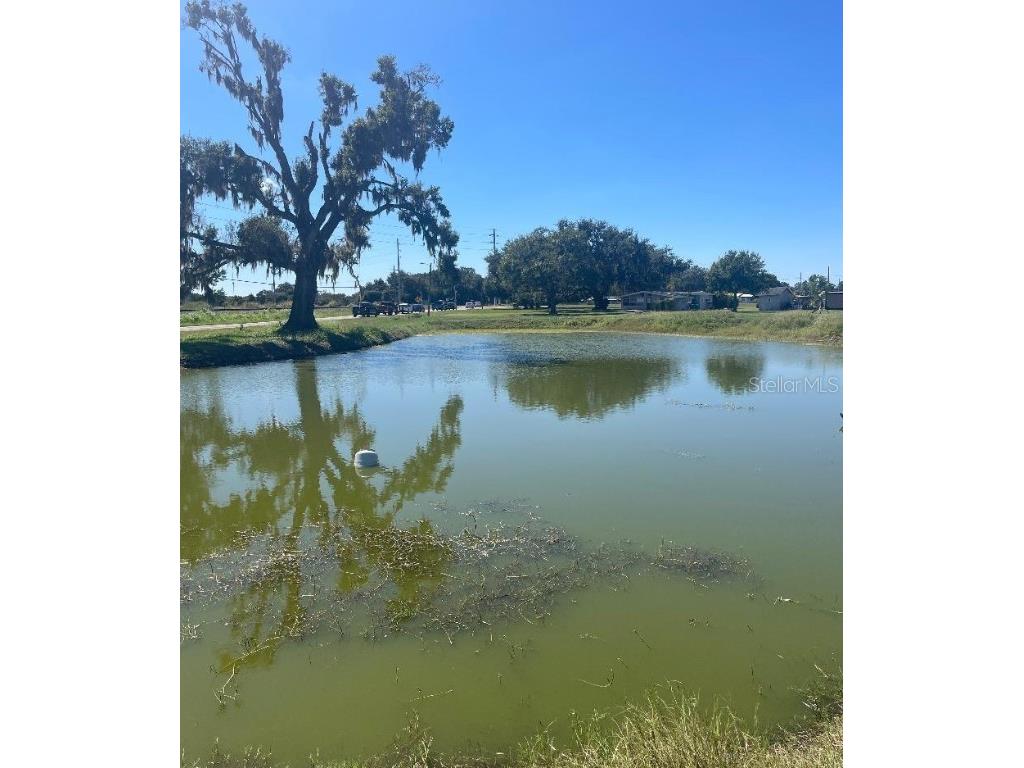 Sydney Road Dover FL 33527 W7879918 image2