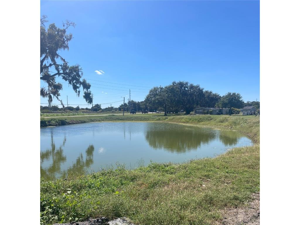 Sydney Road Dover FL 33527 W7879918 image3