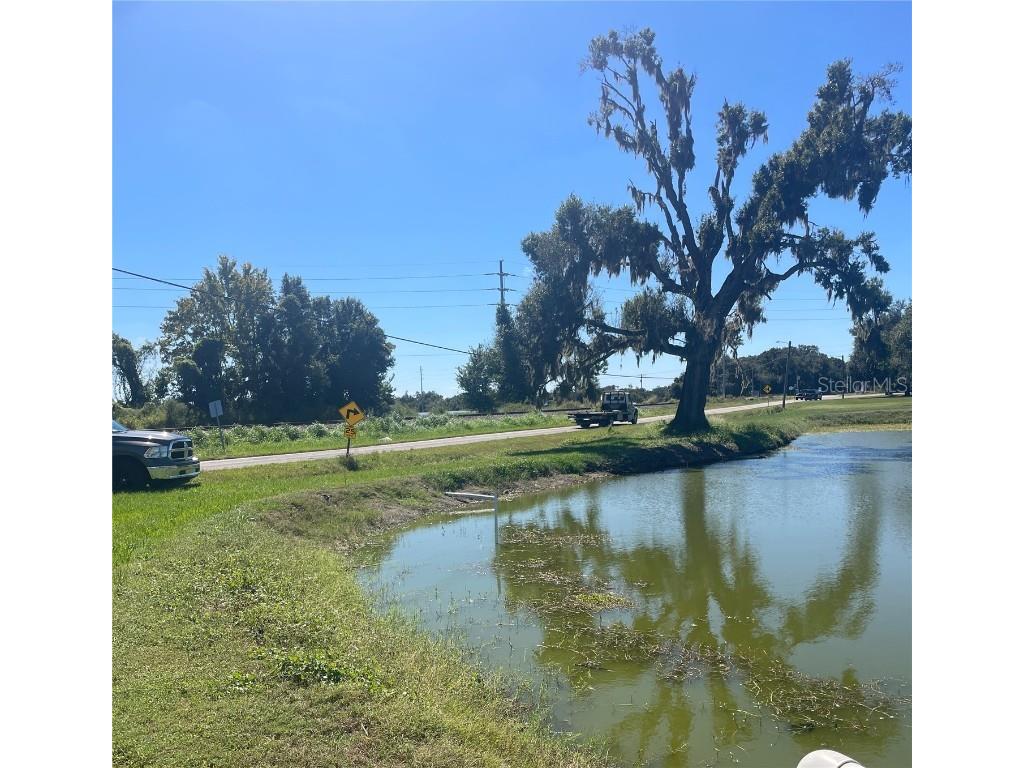 Sydney Road Dover FL 33527 W7879918 image4