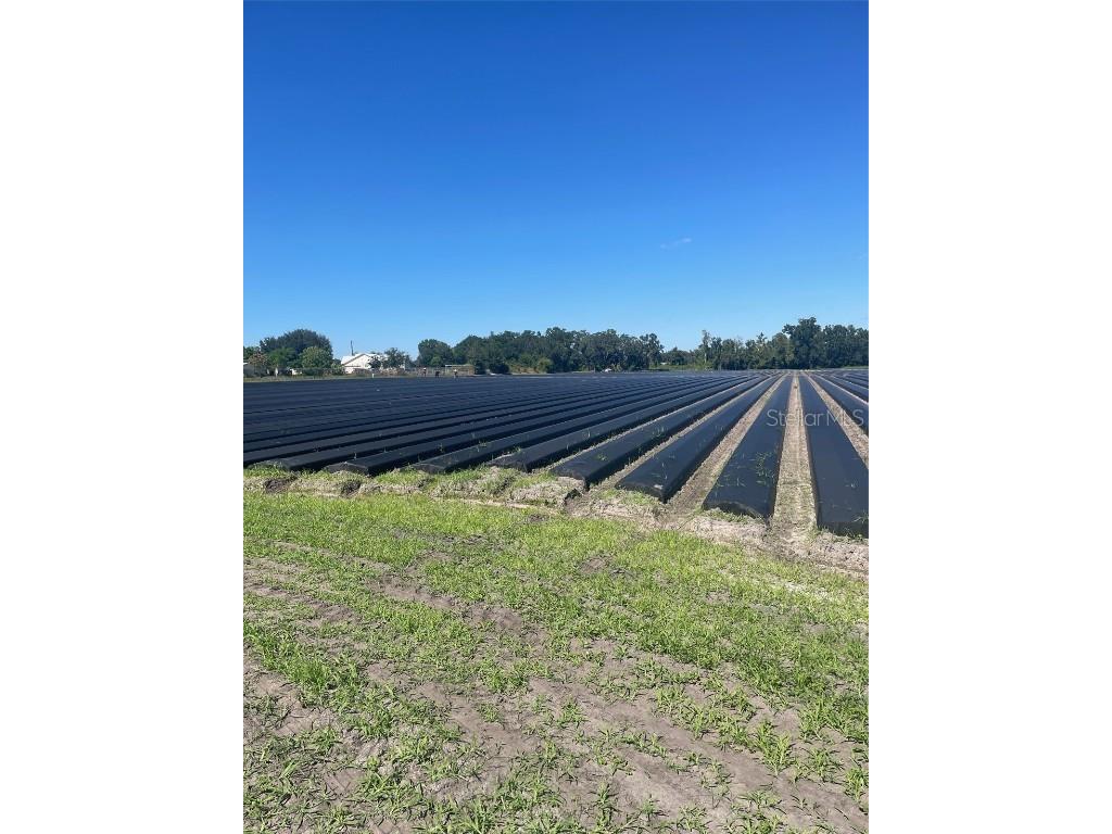 Sydney Road Dover FL 33527 W7879918 image5