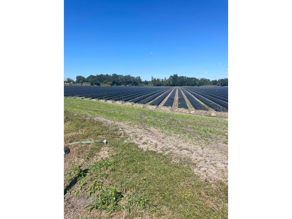 Sydney Road Dover FL 33527 W7879918 image6