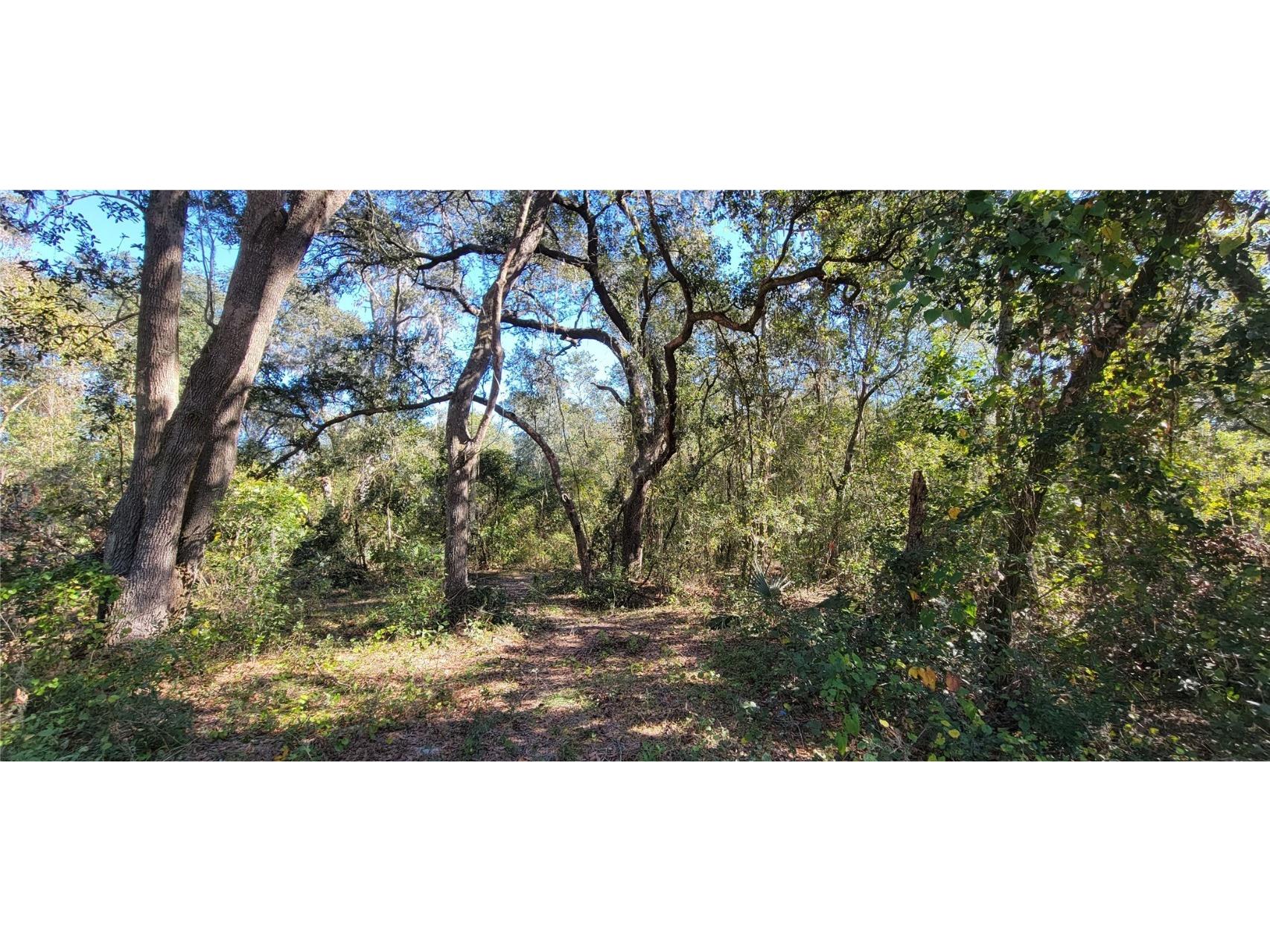 Sydney Washer Rd Dover FL 33527 T3417722 image1