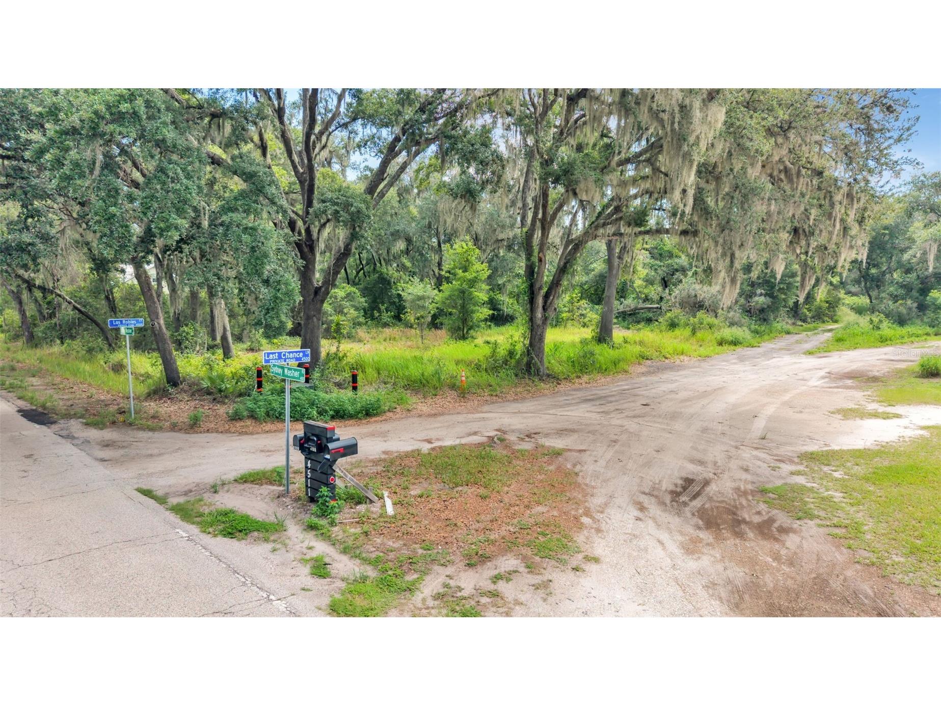 Sydney Washer Road Dover FL 33527 TB8524221 image3