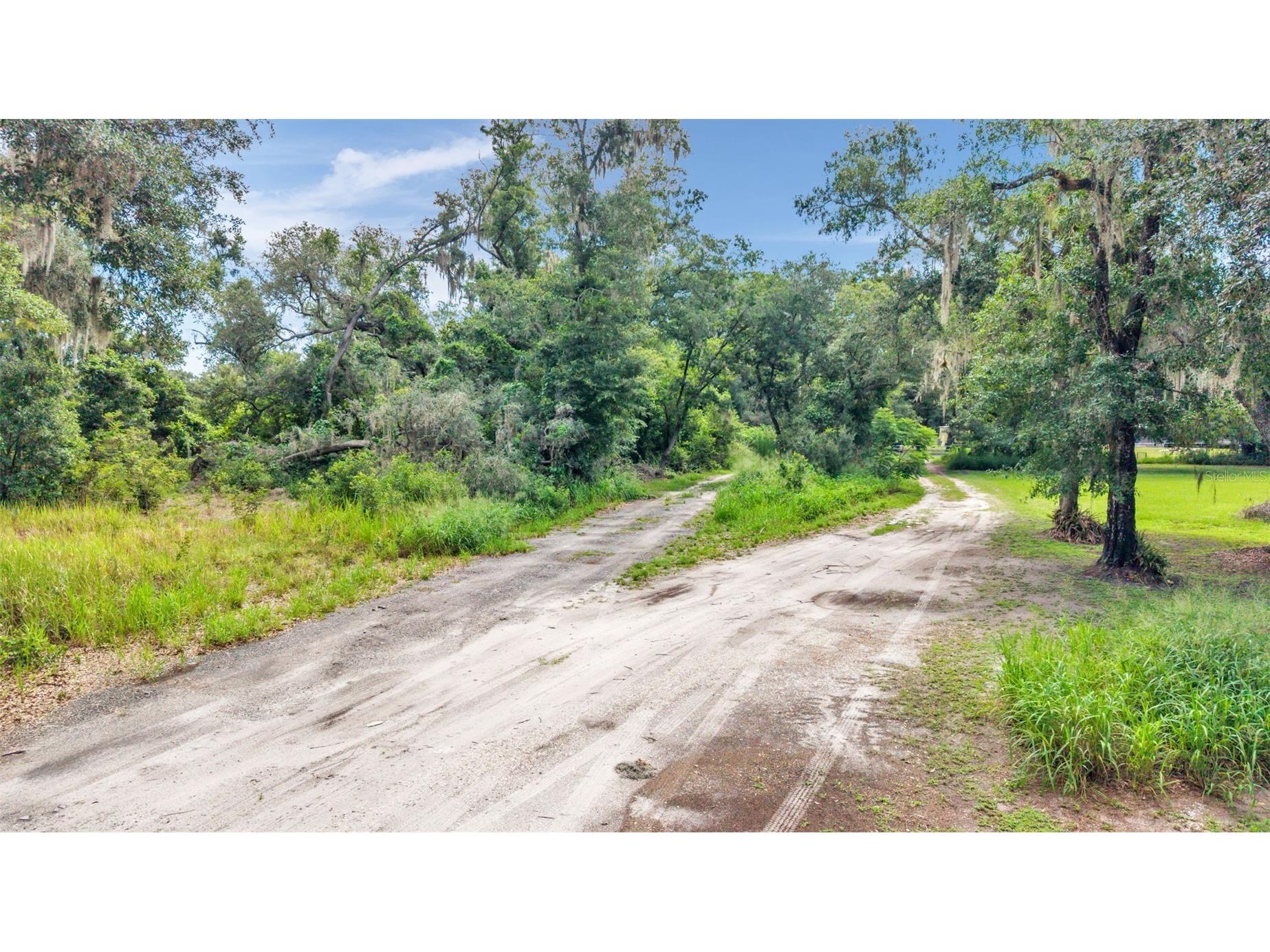 Sydney Washer Road Dover FL 33527 TB8524221 image5