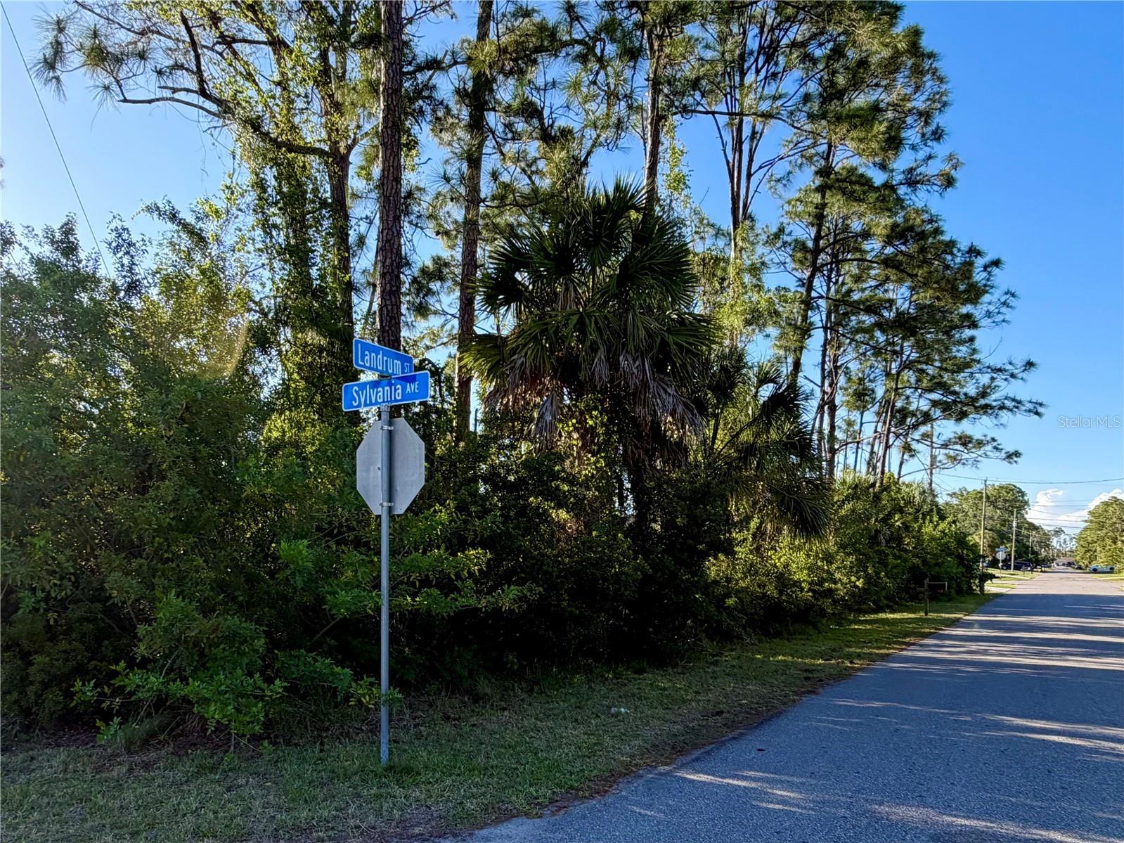 Sylvania Avenue North Port FL 34291 A4691221 image1