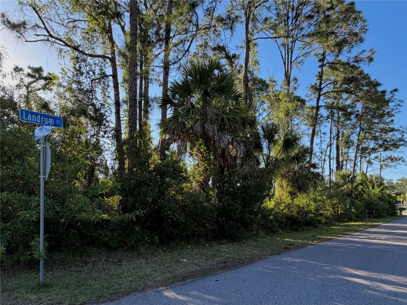 Sylvania Avenue North Port FL 34291 A4691221 image4