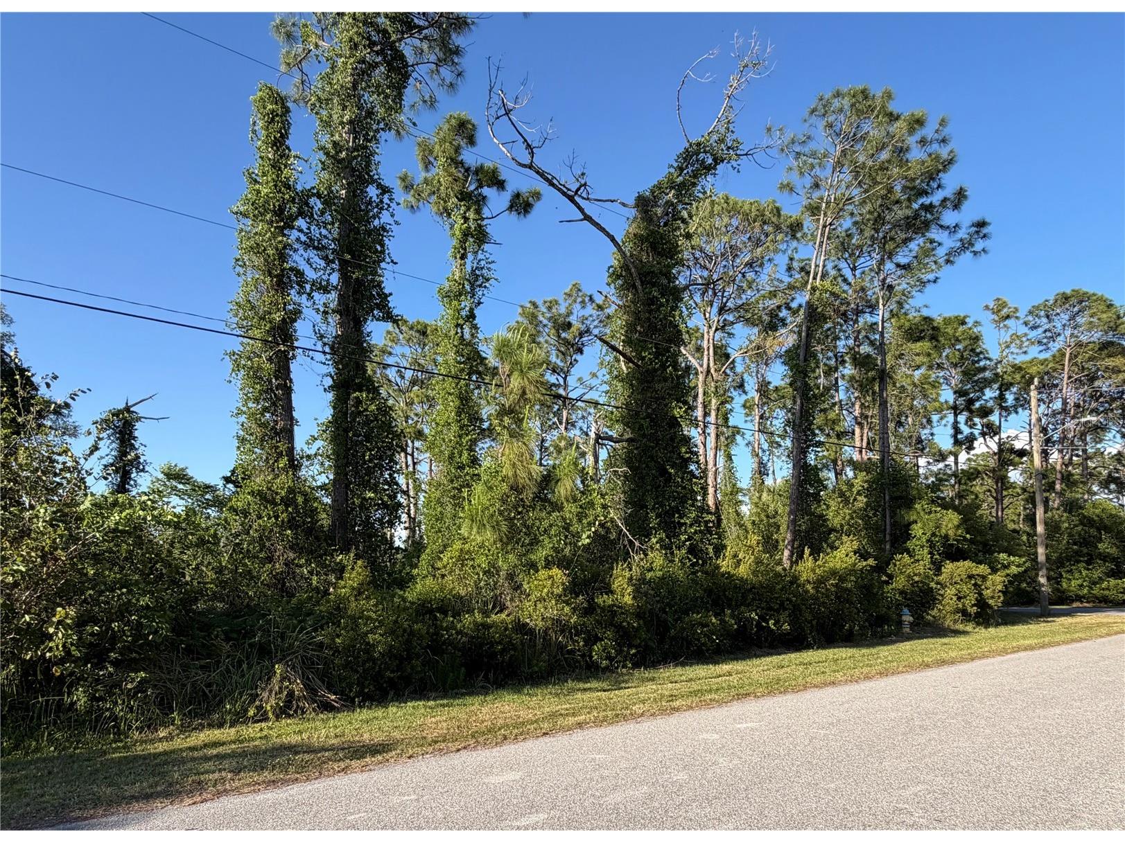 Sylvania Avenue North Port FL 34291 A4691221 image7