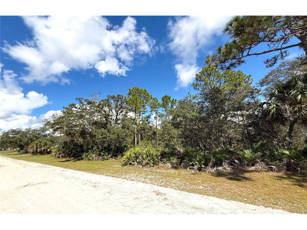 Syracuse Drive Brooksville FL 34614 O6348607 image7