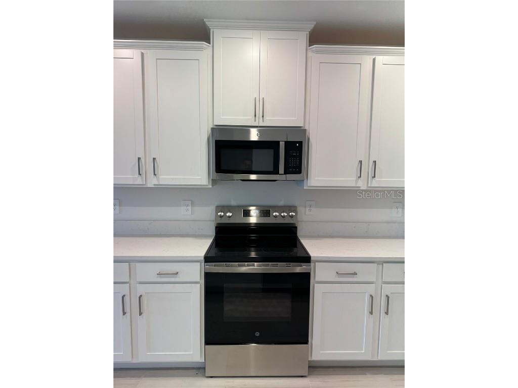  San Antonio FL 33576 TB8450920 image6