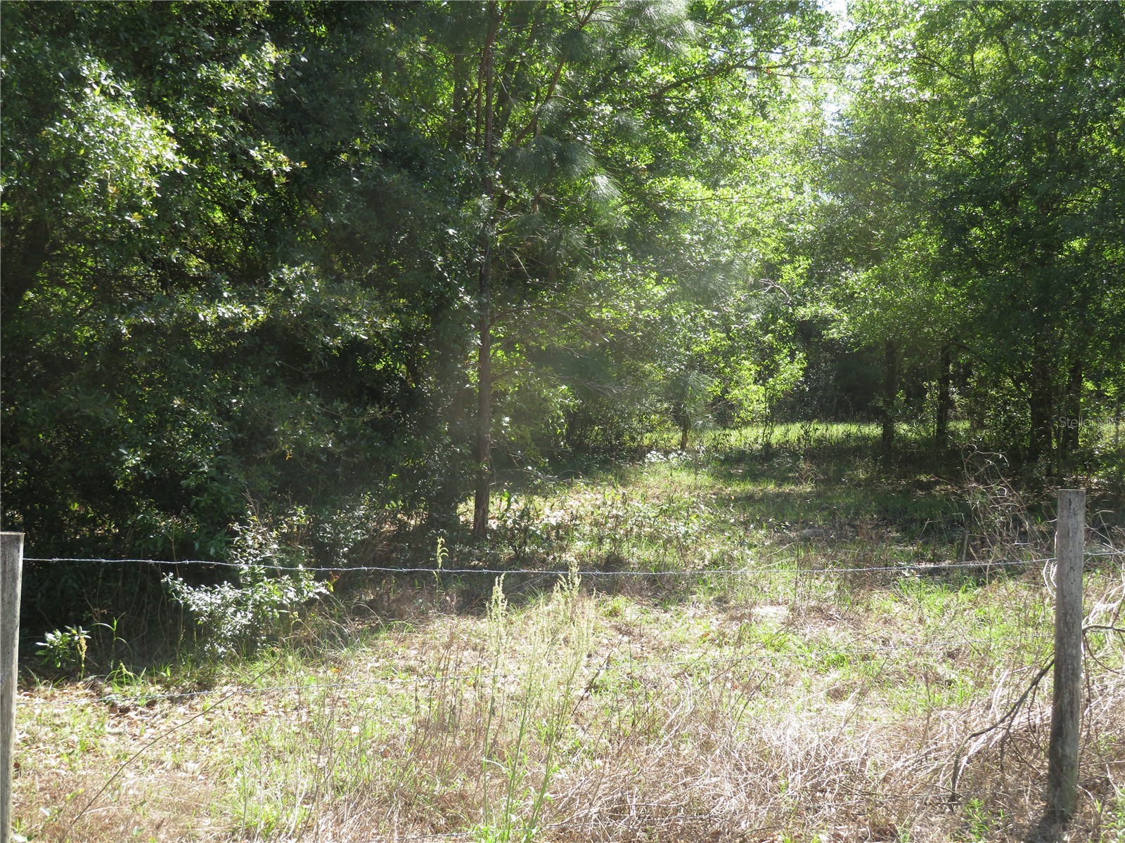  San Antonio FL 33576 TB8489454 image1