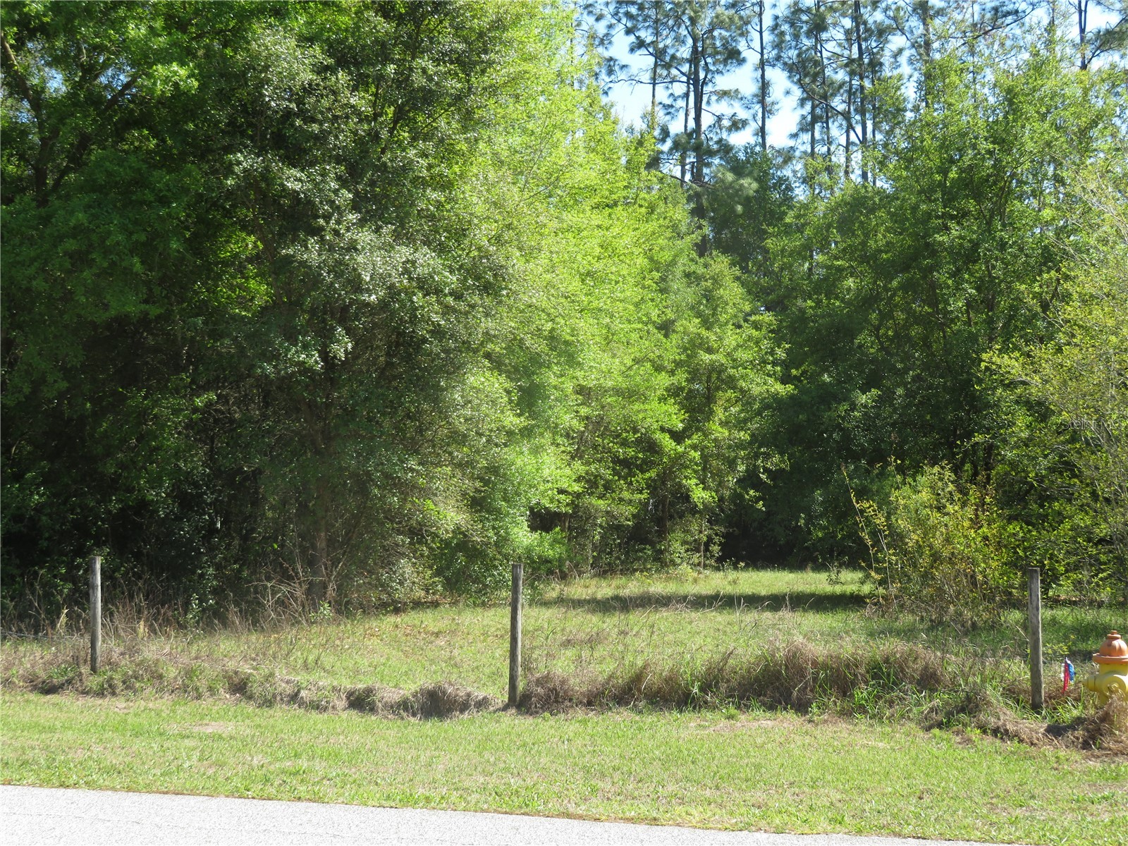  San Antonio FL 33576 TB8489498 image1