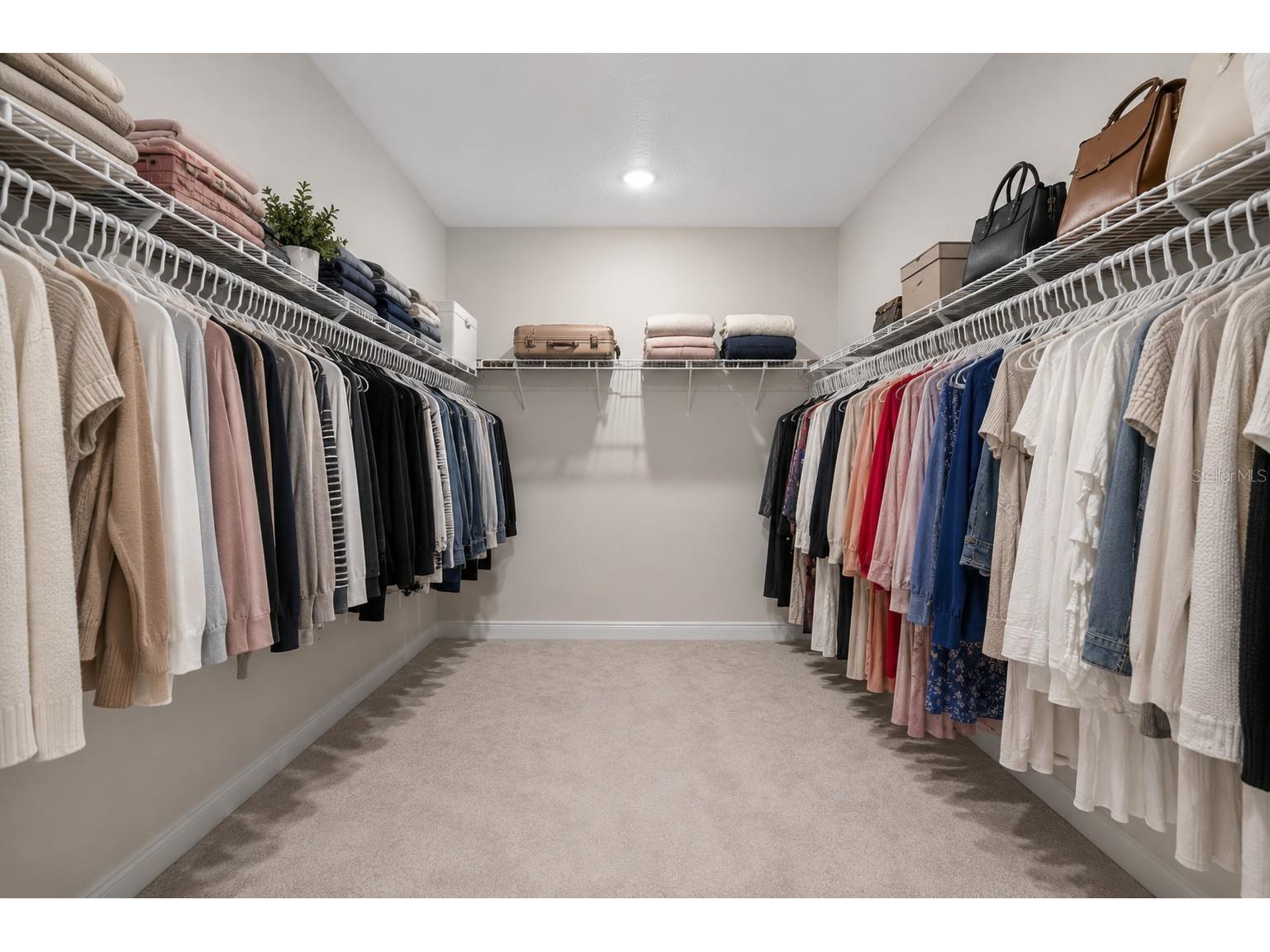 10009 Surrey Rose Drive San Antonio FL 33576 TB8511963 image25