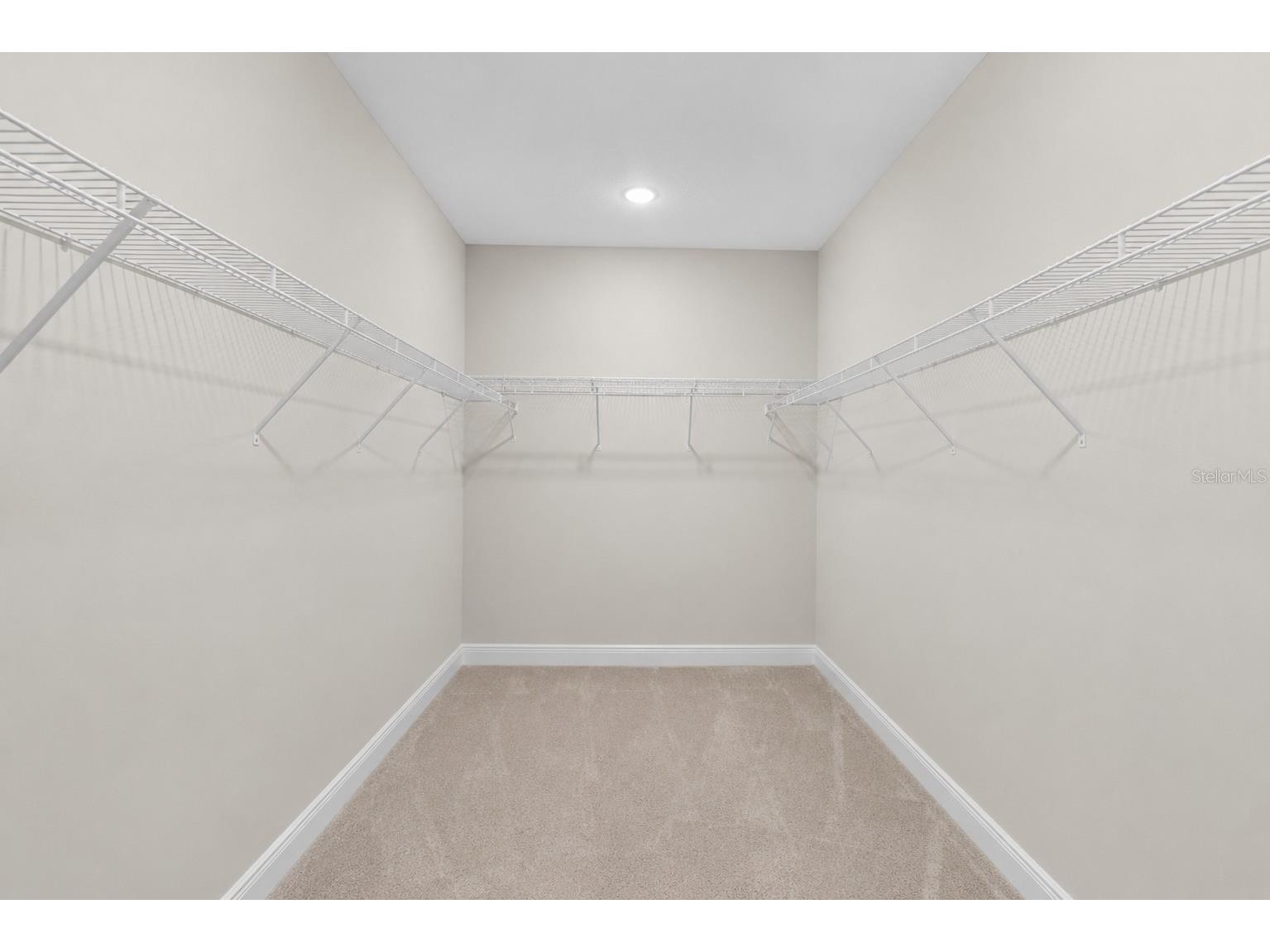 10009 Surrey Rose Drive San Antonio FL 33576 TB8511963 image26