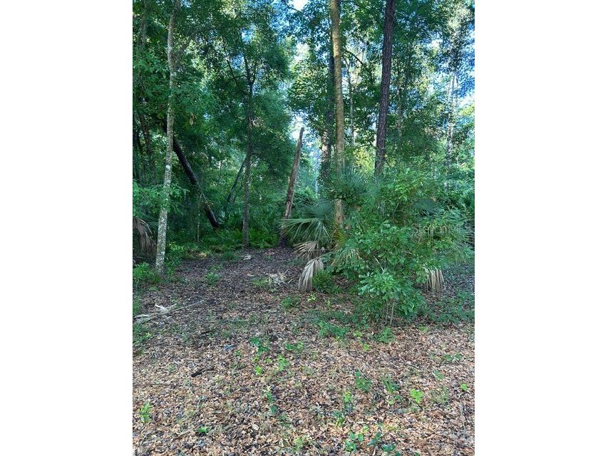  Sanford FL 32773 O6280373 image15