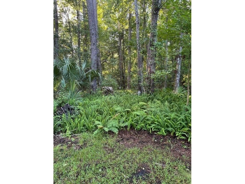  Sanford FL 32773 O6280373 image6