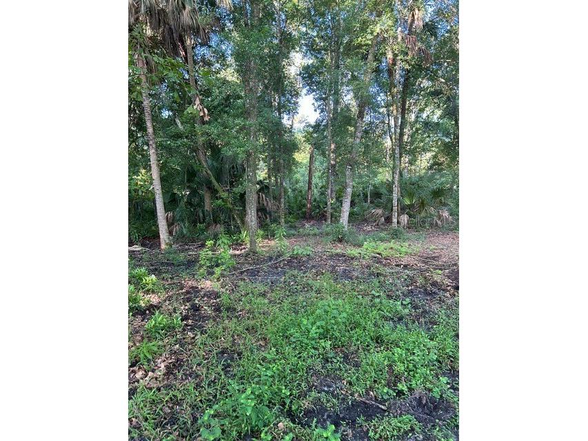  Sanford FL 32773 O6280373 image7