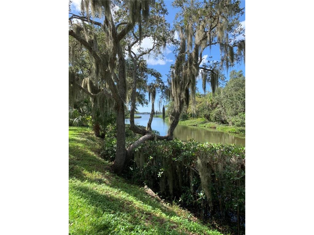  Sarasota FL 34231 A4625263 image18