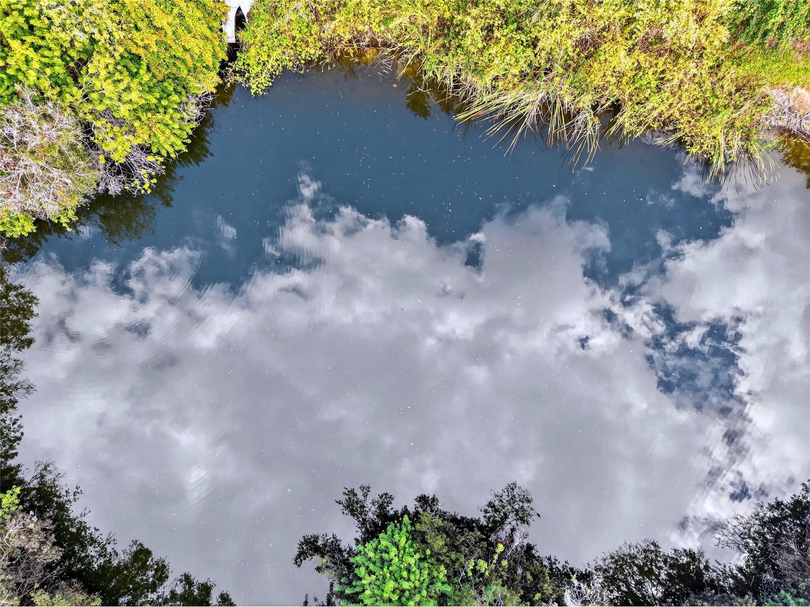 7808 34th Court E Sarasota FL 34243 A4678520 image16