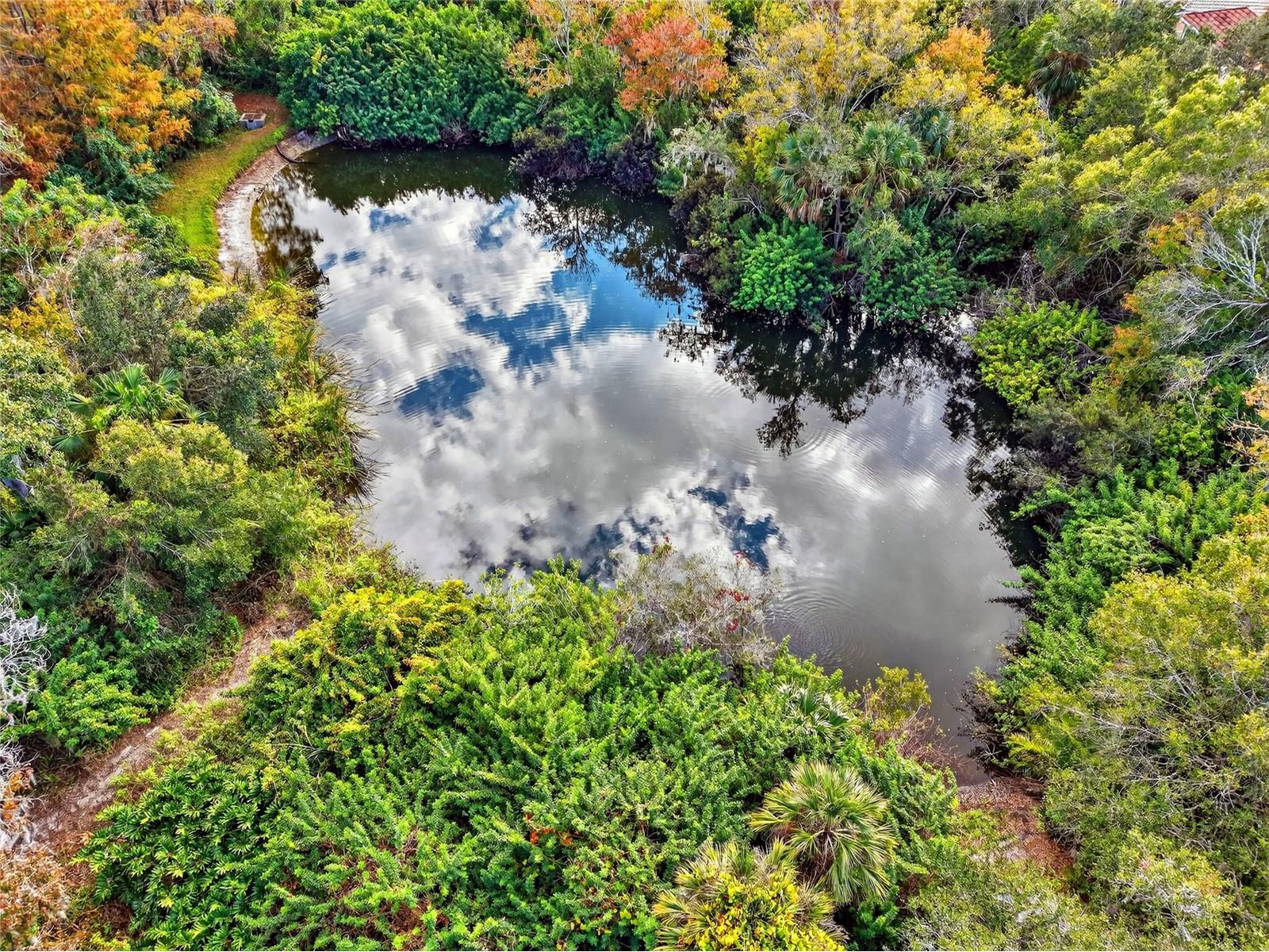 7808 34th Court E Sarasota FL 34243 A4678520 image17