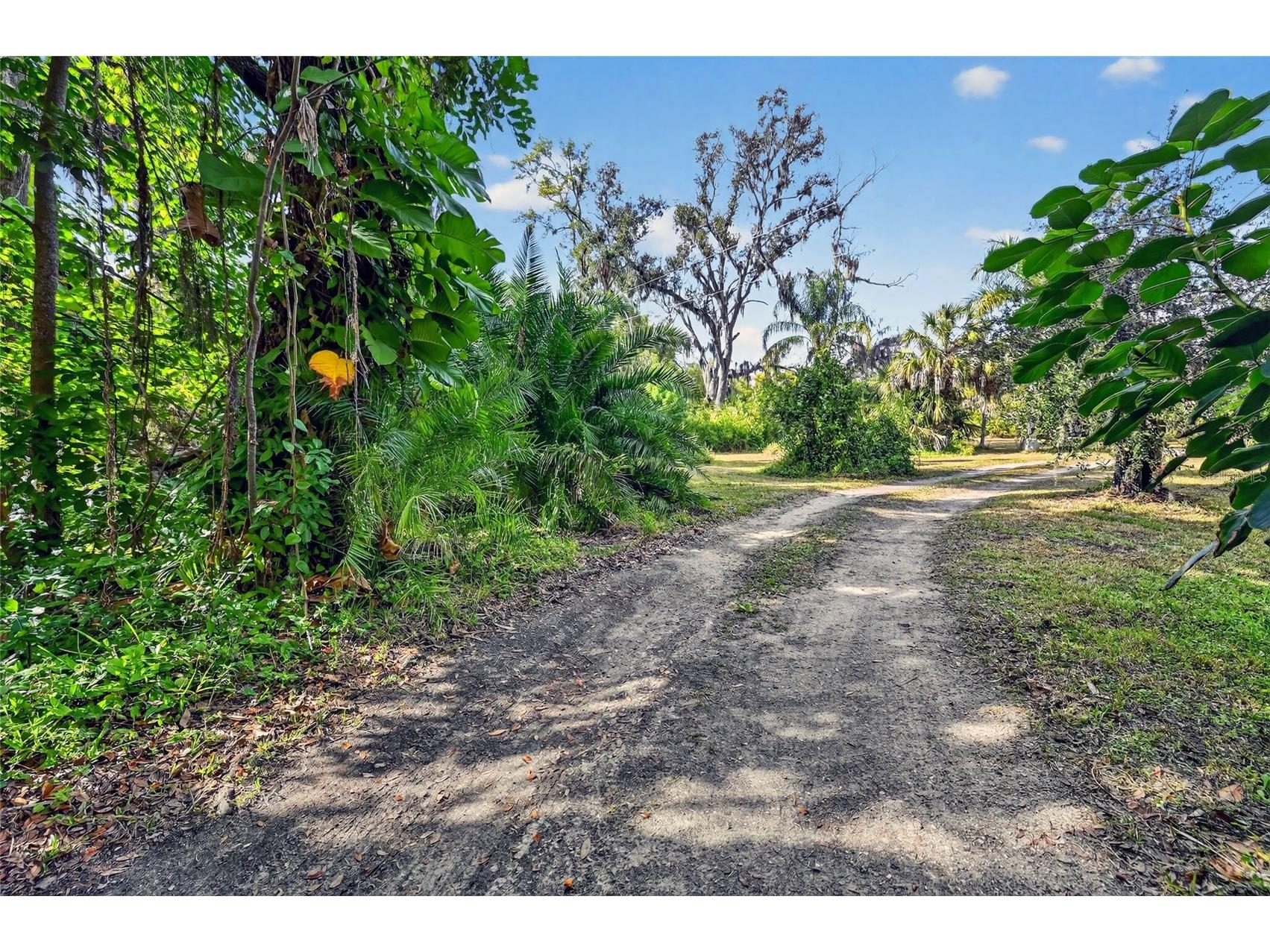 7808 34th Court E Sarasota FL 34243 A4678520 image8