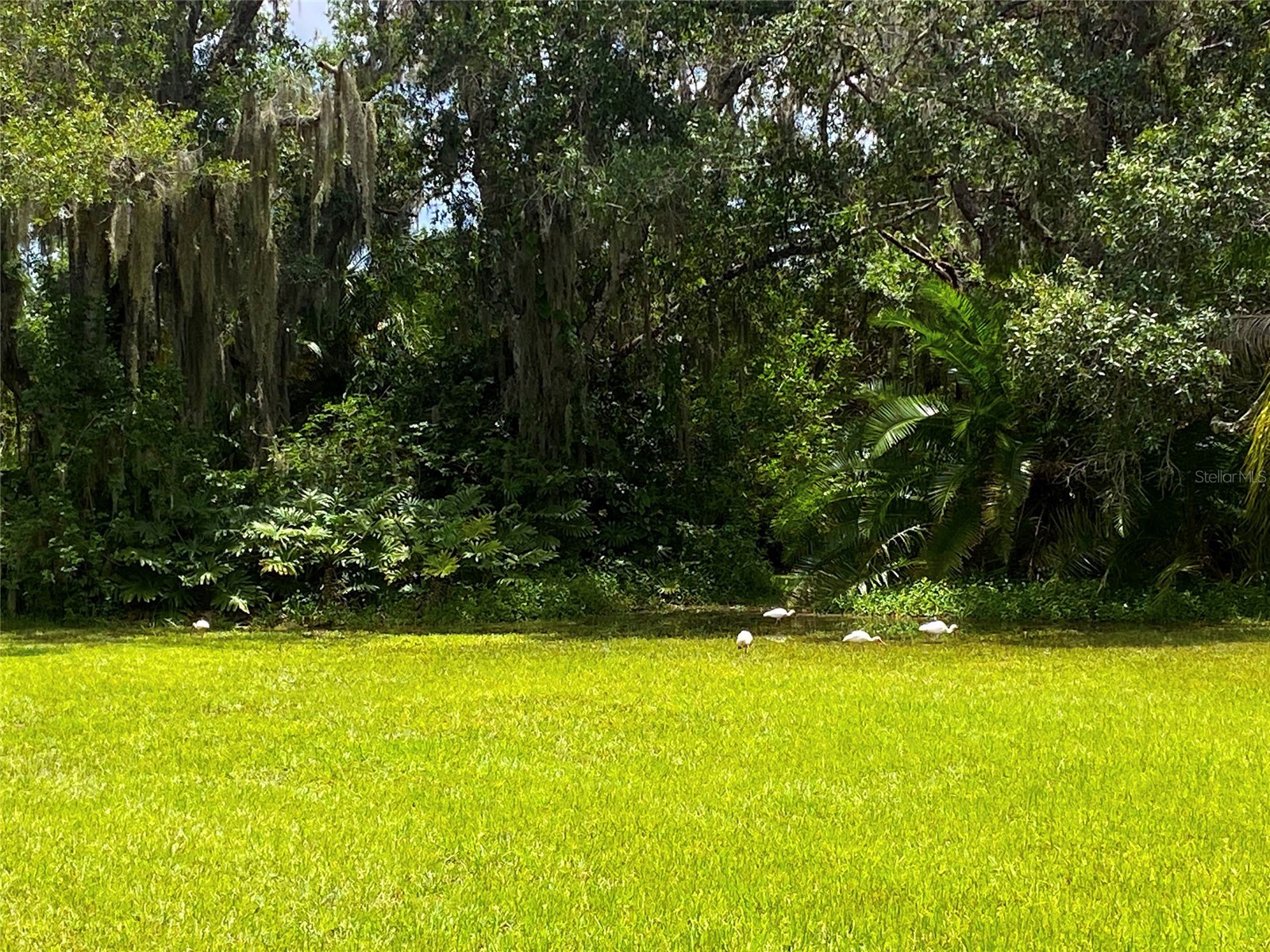7808 34th Court E Sarasota FL 34243 A4678520 image9