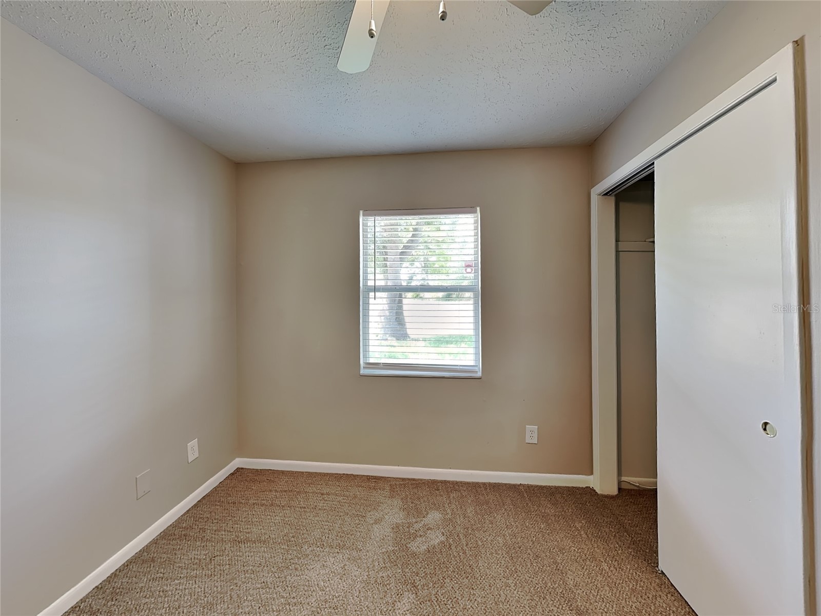  Seffner FL 33584 TB8496550 image10