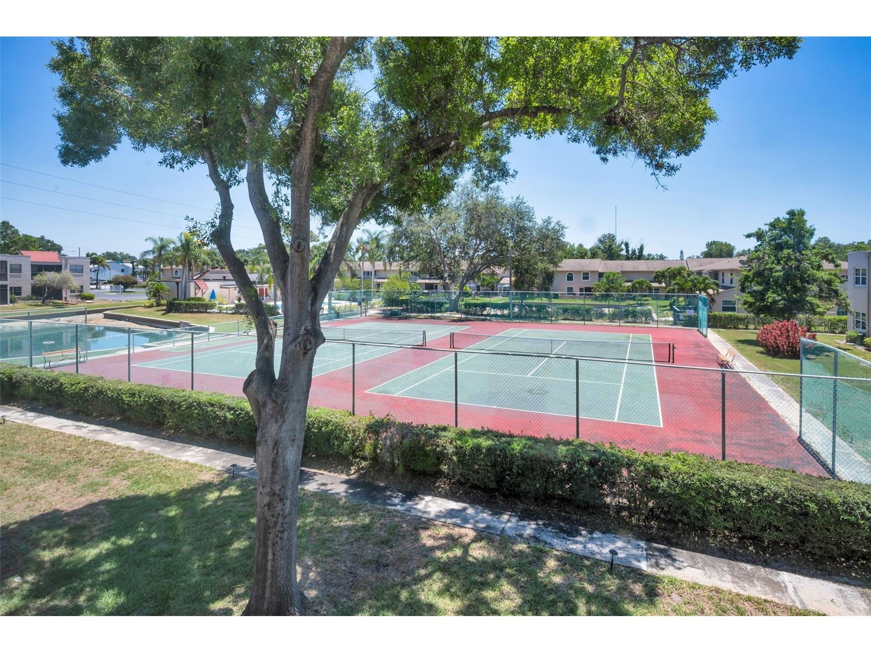  Seminole FL 33777 TB8512416 image2