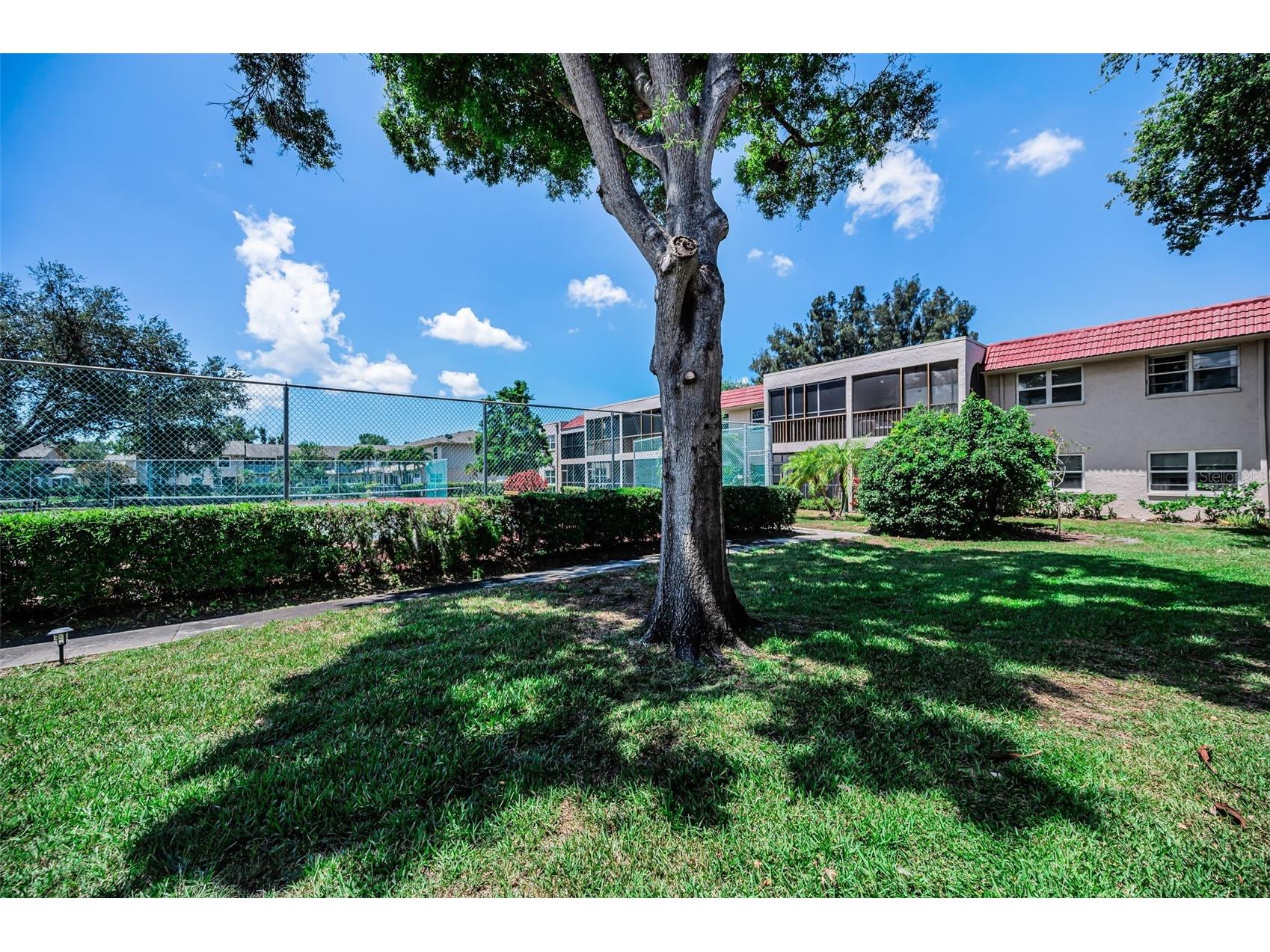  Seminole FL 33777 TB8512416 image30