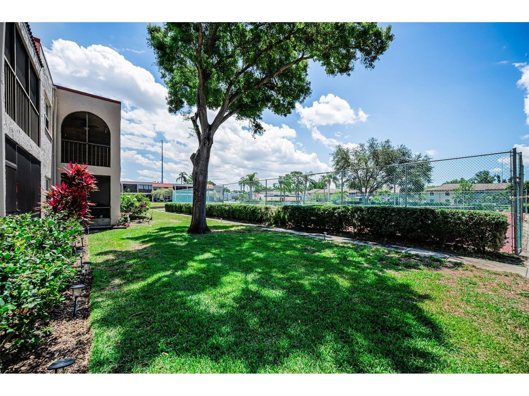  Seminole FL 33777 TB8512416 image31