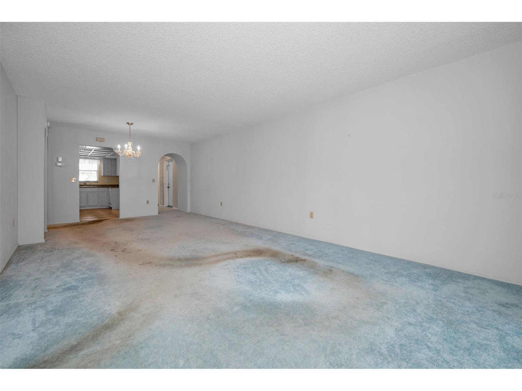  Seminole FL 33777 TB8512416 image8