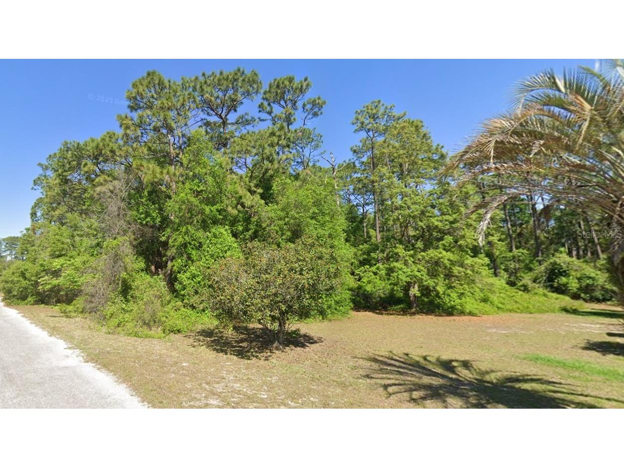  Silver Springs FL 34488 O6363319 image1