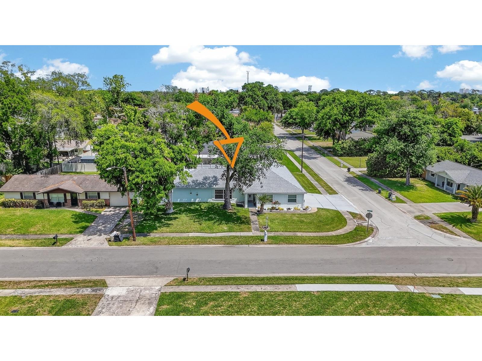  South Daytona FL 32119 V4948466 image41