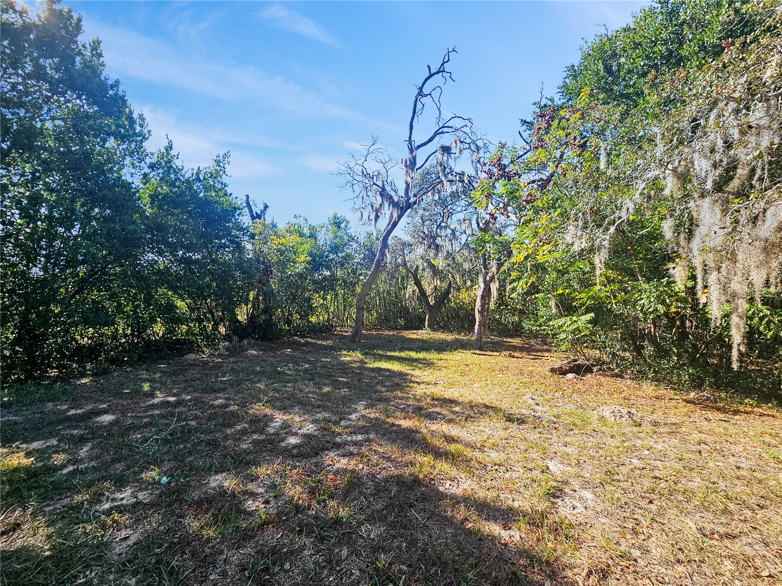  Spring Hill FL 34606 TB8475121 image17