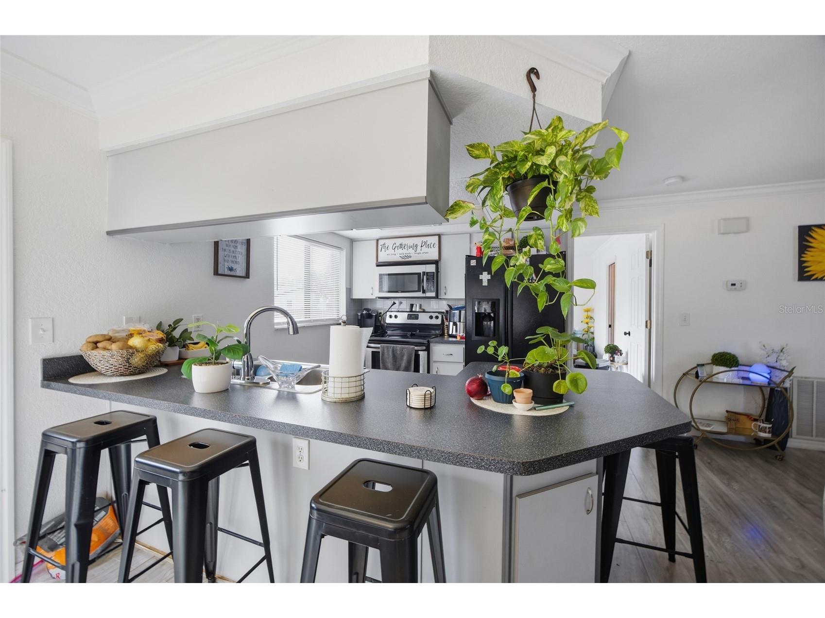  Spring Hill FL 34606 TB8476493 image8