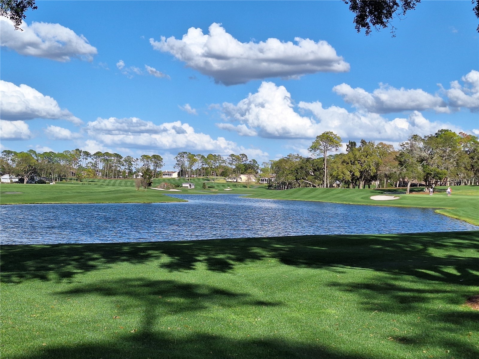  Spring Hill FL 34606 TB8482973 image38