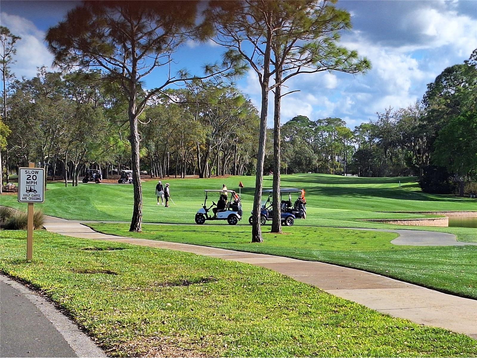  Spring Hill FL 34606 TB8482973 image39