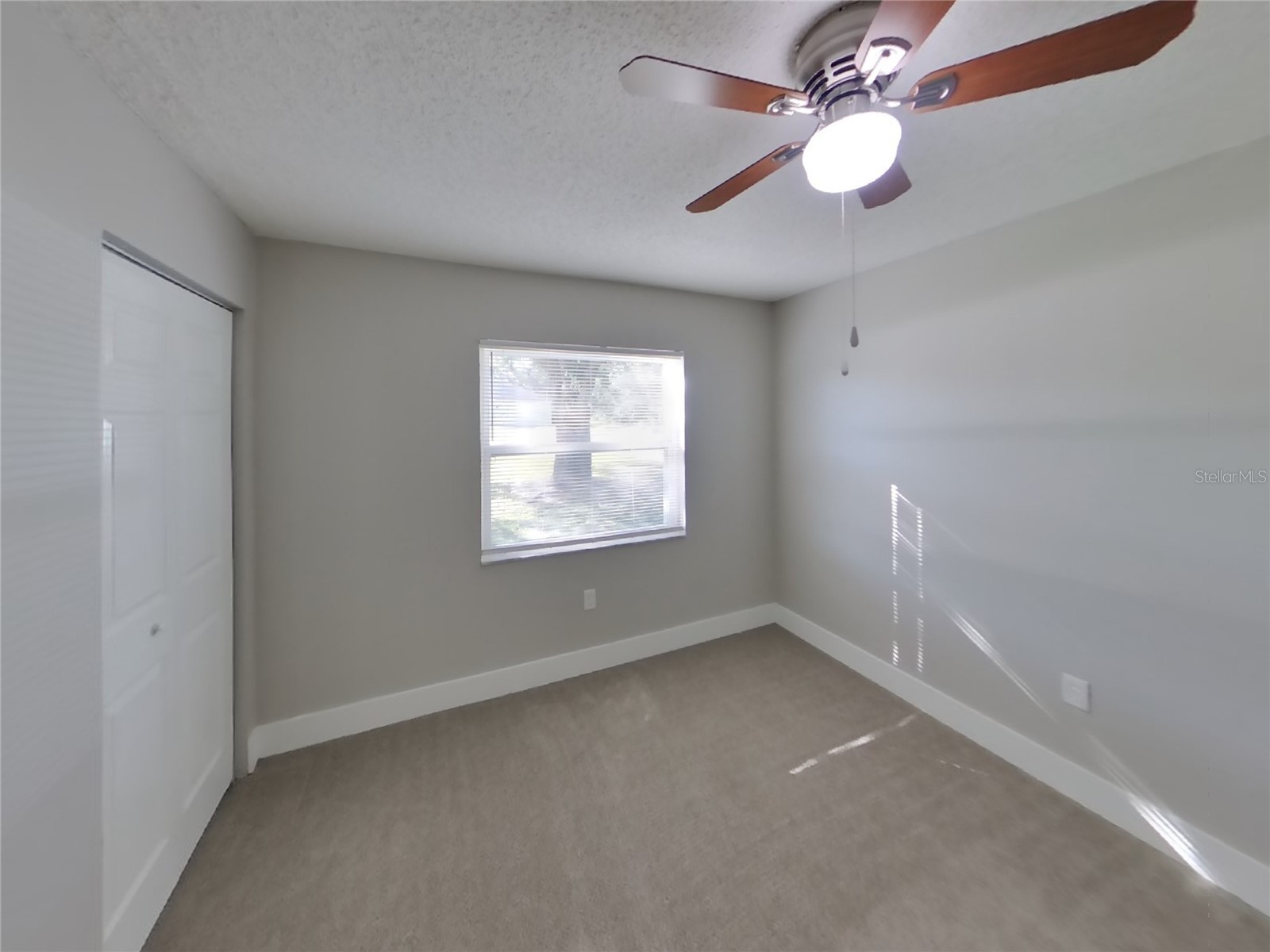  Spring Hill FL 34608 TB8489497 image12