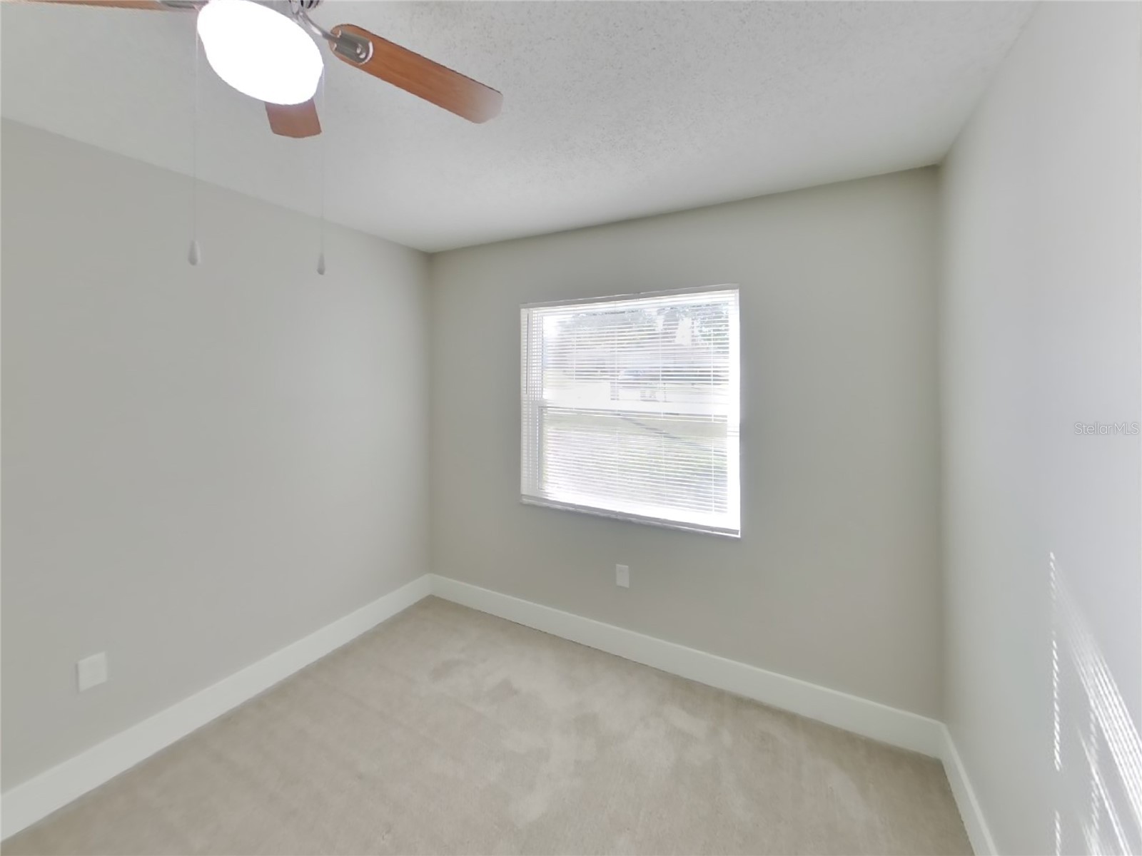  Spring Hill FL 34608 TB8489497 image13