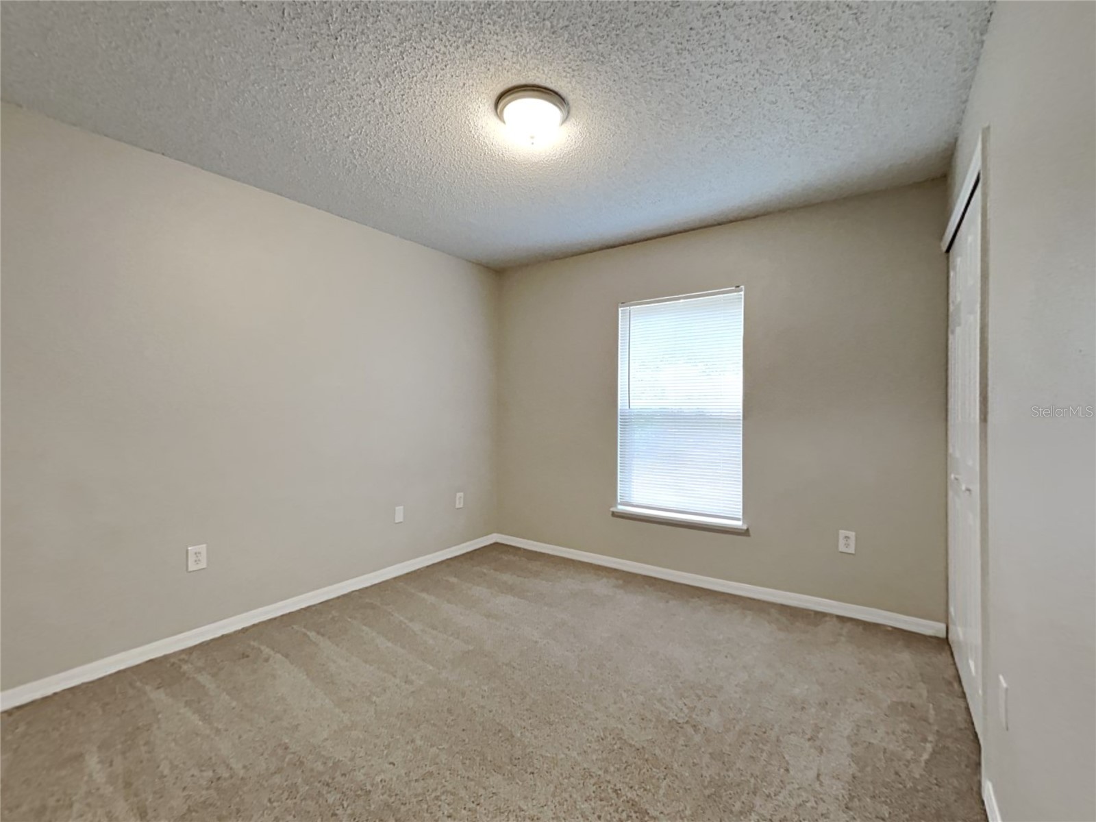  Spring Hill FL 34609 O6421777 image10
