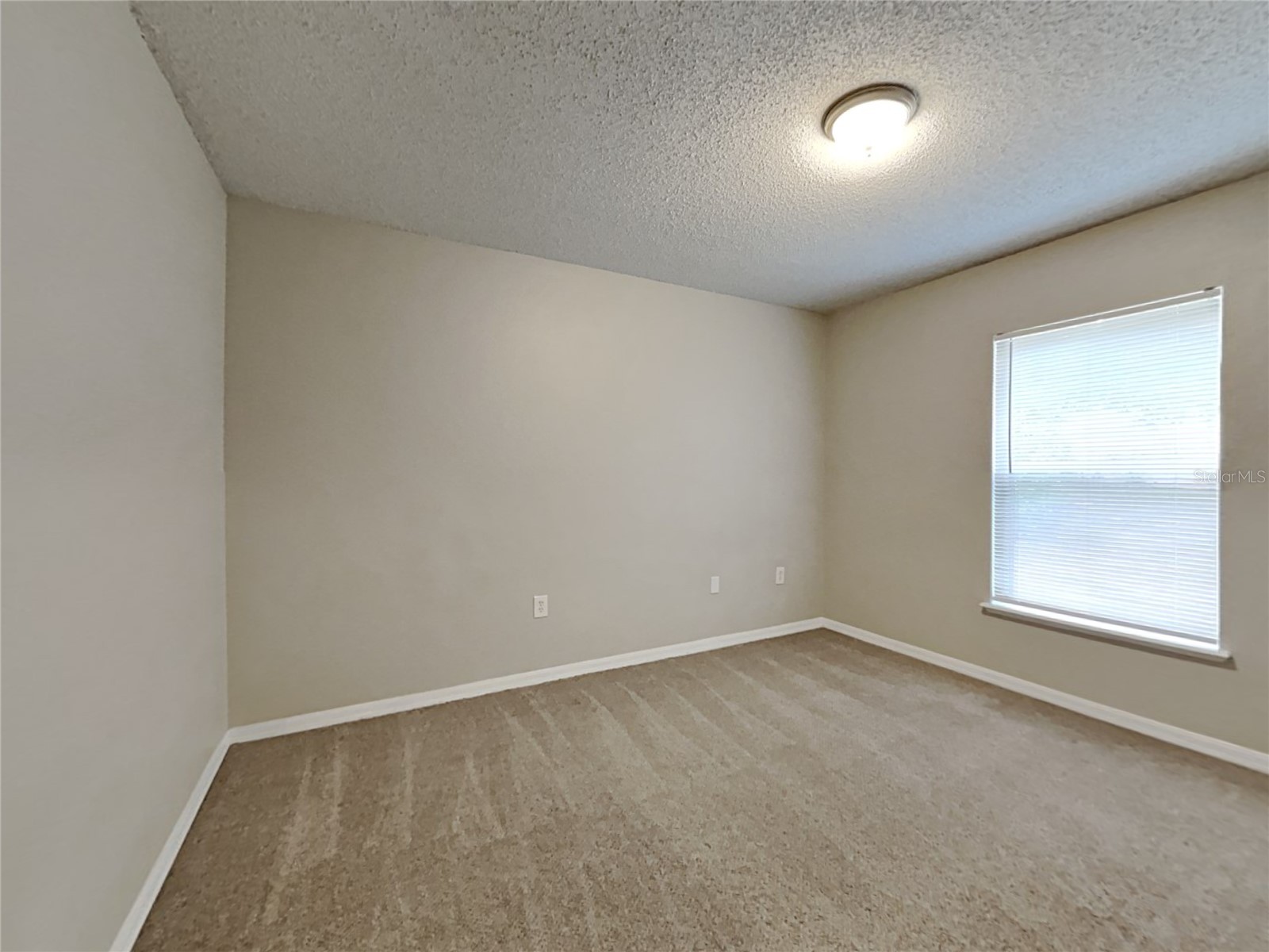  Spring Hill FL 34609 O6421777 image11
