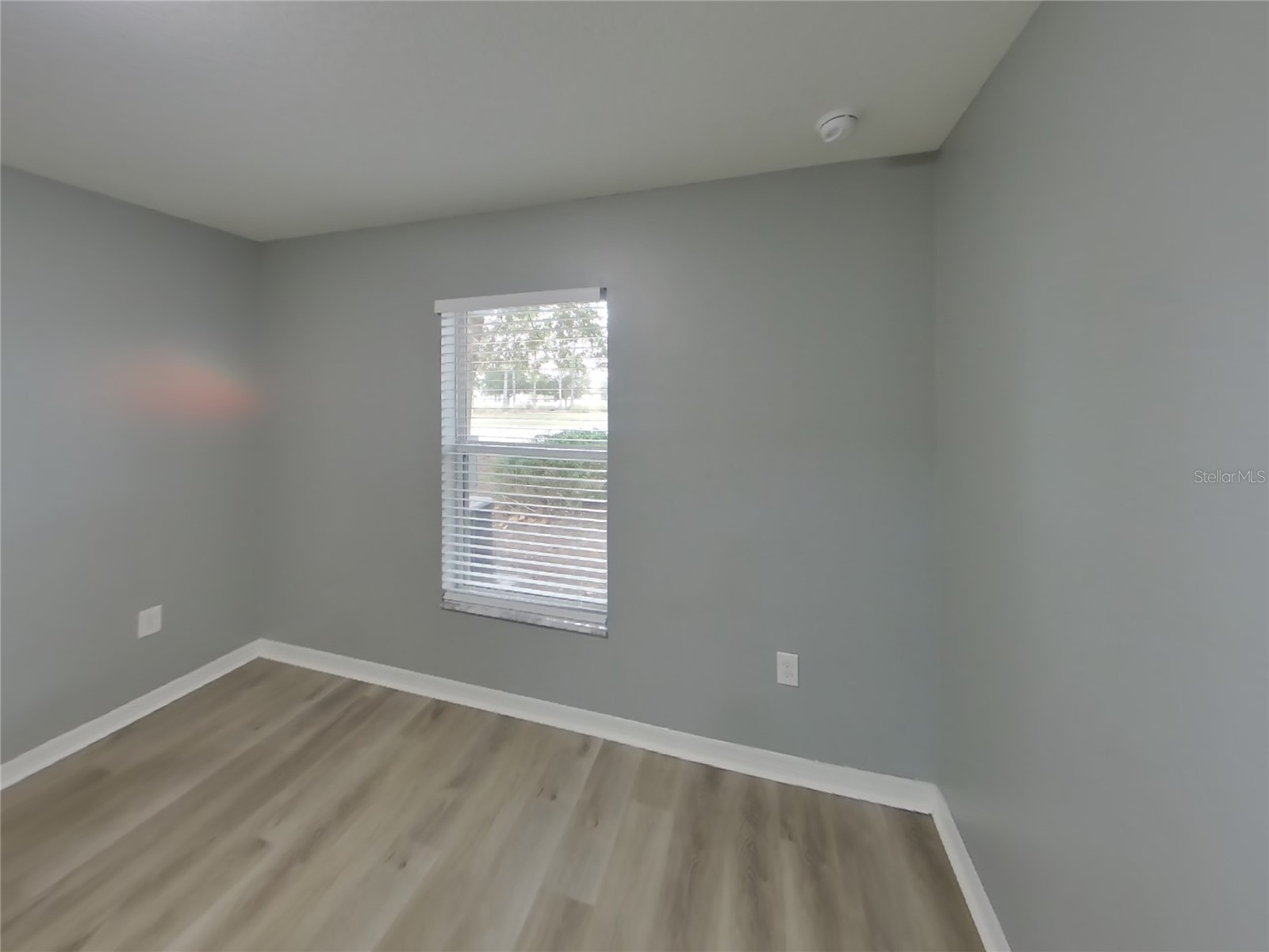  Spring Hill FL 34609 TB8465326 image12