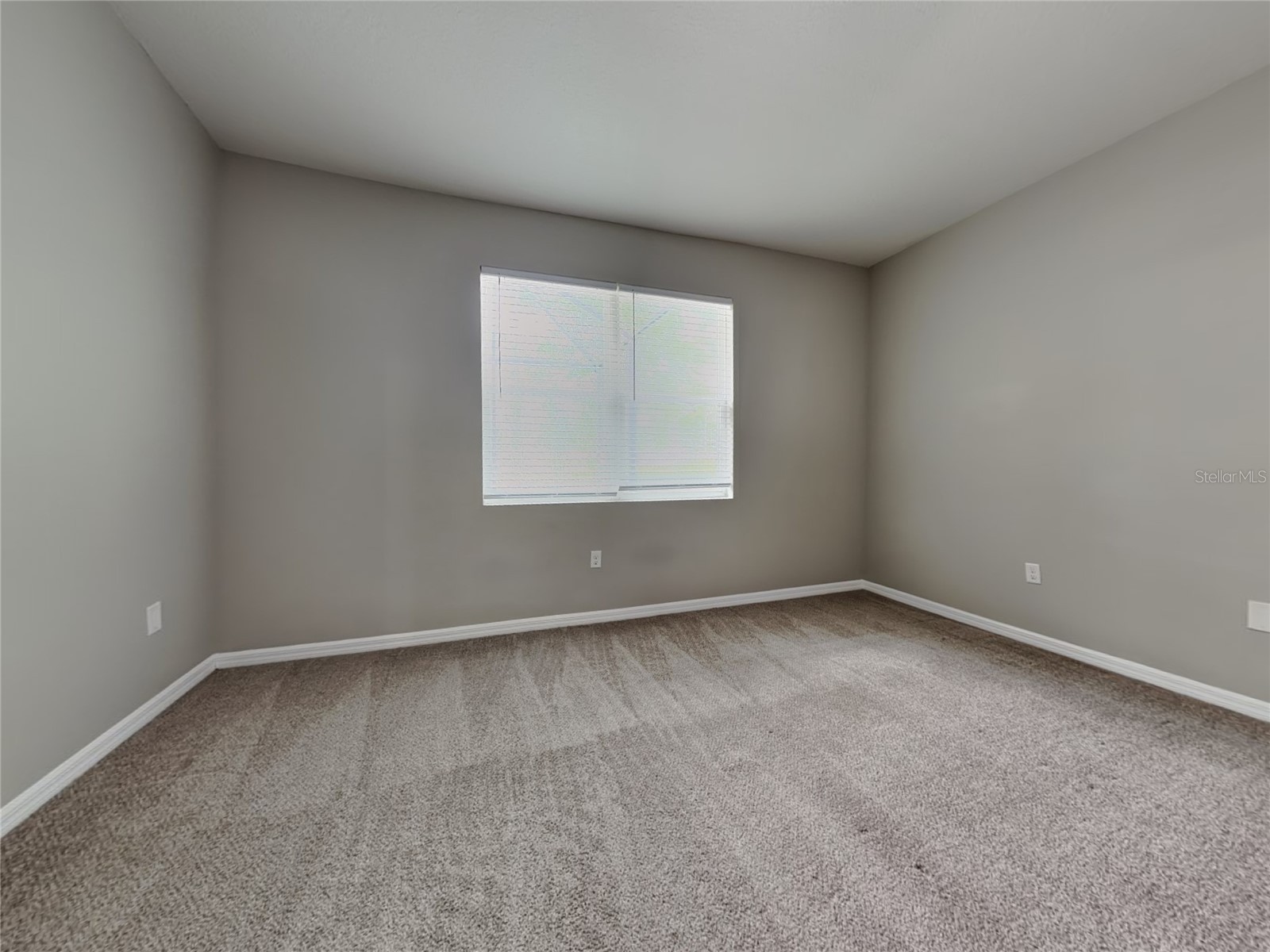  Spring Hill FL 34609 TB8496562 image7
