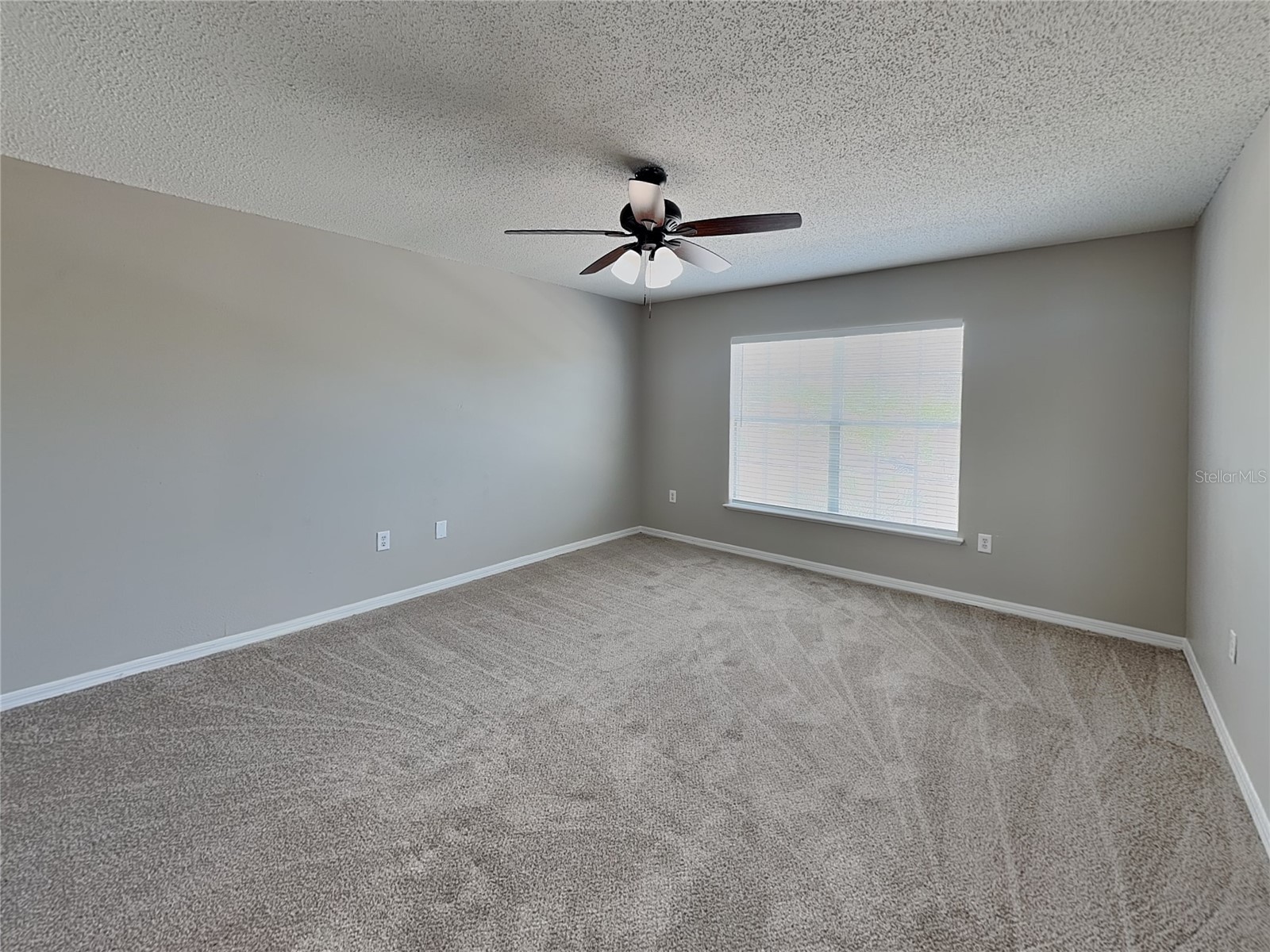  Spring Hill FL 34609 TB8509980 image10
