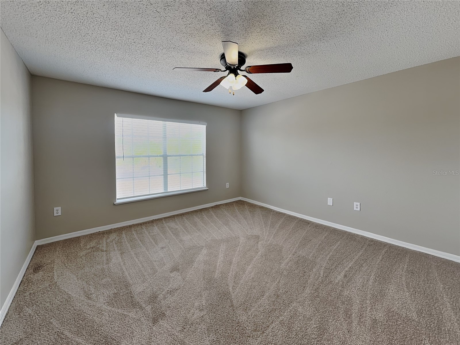  Spring Hill FL 34609 TB8509980 image12