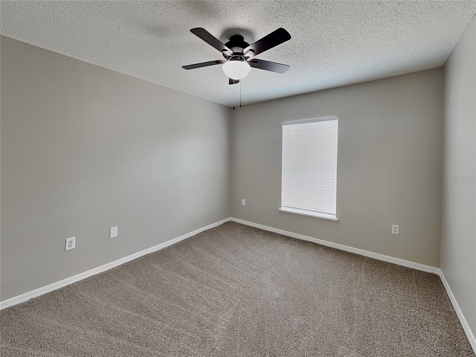  Spring Hill FL 34609 TB8509980 image14