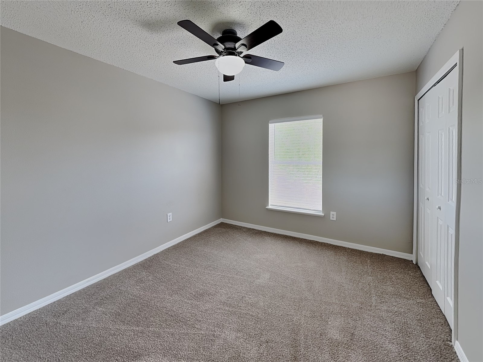  Spring Hill FL 34609 TB8509980 image16