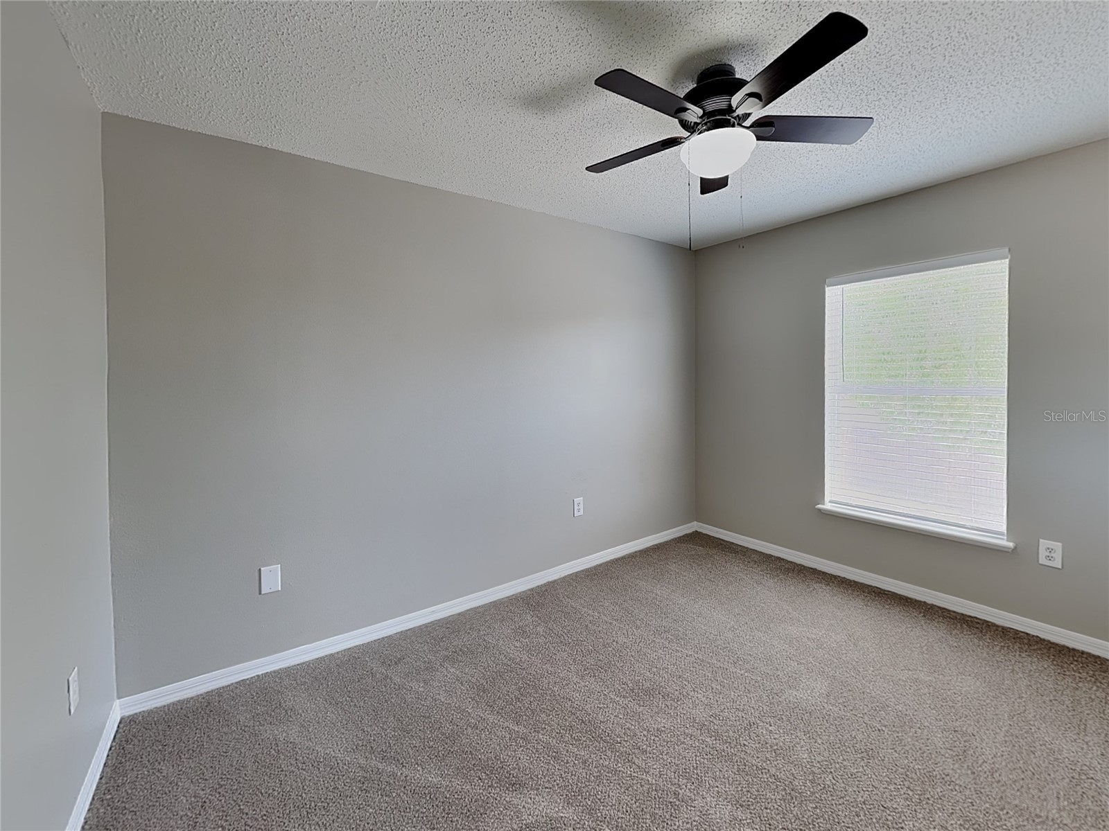  Spring Hill FL 34609 TB8509980 image17