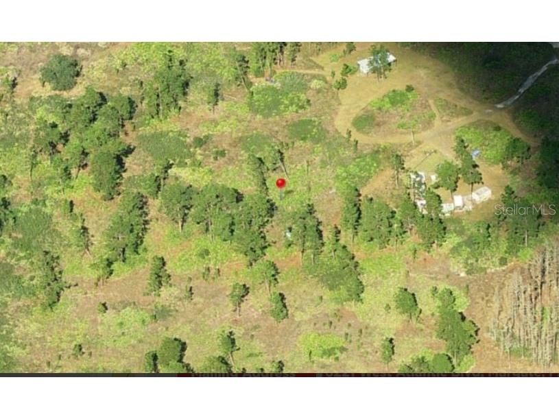  Saint Cloud FL 34773 O6150812 image2